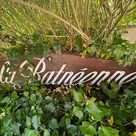 Batneenne, 16 Personnes Avec Piscine Villa Le Touquet